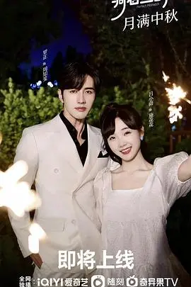 《骑着鱼的猫》：一场奇幻又治愈的梦境之旅，献给所有内心柔软的灵魂