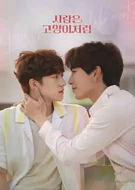 《爱情像猫一样》：跨国甜蜜恋，当傲娇霸总爱上软萌猫系少女，甜到心坎！