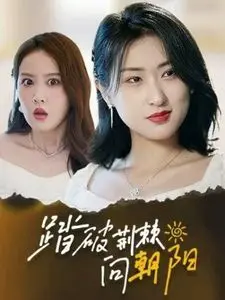 《踏破荆棘向朝阳》：一部关于不屈与希望的史诗，在逆境中寻找生命的真谛！