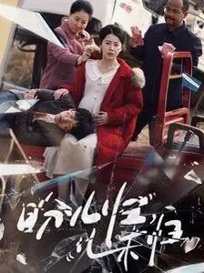 《盼儿归儿未归》：失落的爱与破碎的真相，一场情感与犯罪的宿命交织