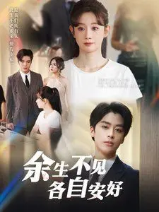 余生不见各自安好 海报